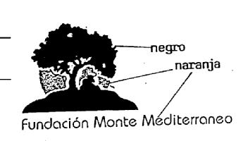Imagen de FUNDACION MONTE MEDITERRANEO