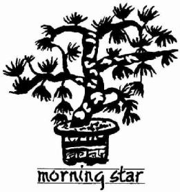 Imagen de MORNING STAR