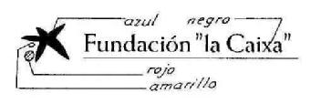 Imagen de FUNDACION 