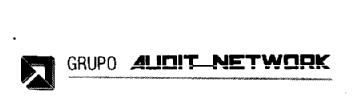 Imagen de GRUPO AUDIT NETWORK