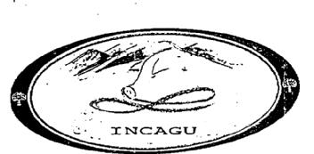 Imagen de INCAGU