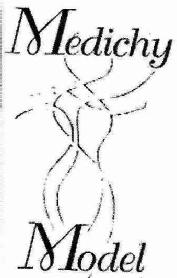 Imagen de MEDICHY MODEL