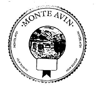 Imagen de MONTE AVIN