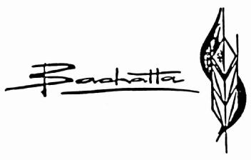 Imagen de BACHATTA