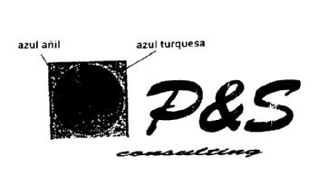 Imagen de P&S CONSULTING
