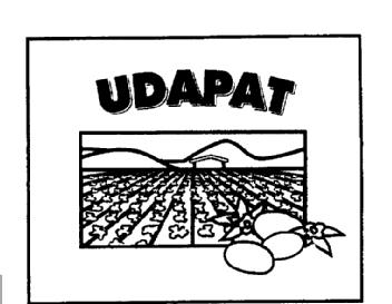 Imagen de UDAPAT