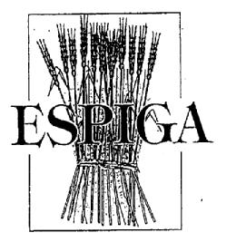 Imagen de ESPIGA