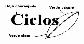 Imagen de CICLOS