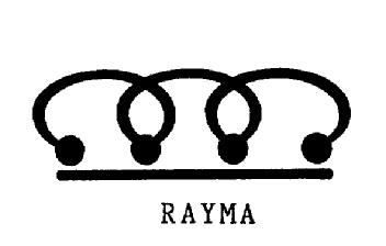 Imagen de RAYMA