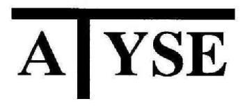 Imagen de ATYSE