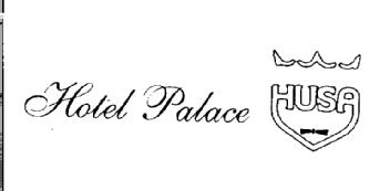 Imagen de HOTEL PALACE HUSA