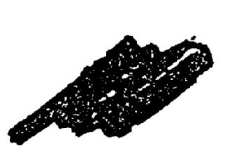 Imagen de M2002844(X)