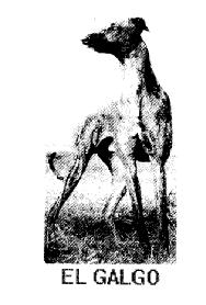 Imagen de EL GALGO