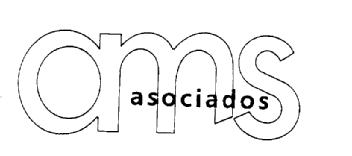 Imagen de AMS ASOCIADOS