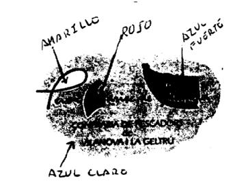 Imagen de PEIX I MARISC DE VILANOVA CONFRARIA DE PESCADORS DE VILANOVA I LA GELTRU