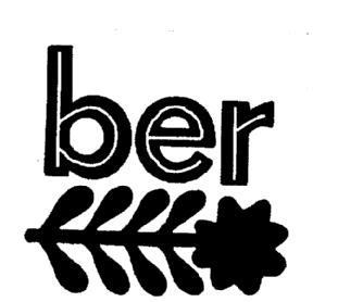 Imagen de BER