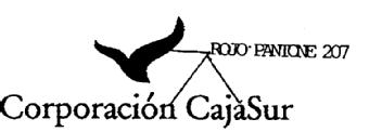 Imagen de CORPORACION CAJASUR