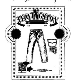 Imagen de LEAVINGSTON