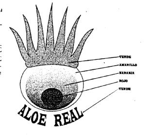 Imagen de ALOE REAL