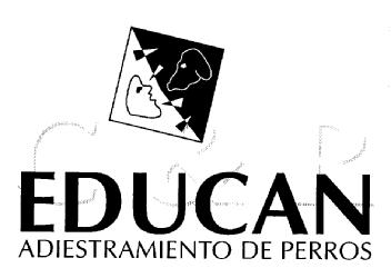 Imagen de C & R EDUCAN ADIESTRAMIENTO DE PERROS