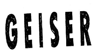 Imagen de GEISER