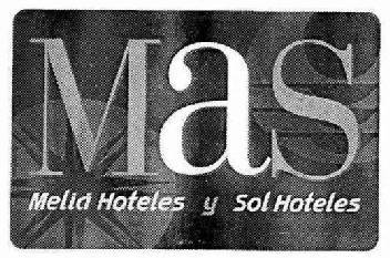 Imagen de MAS MELIA HOTELES Y SOL HOTELES