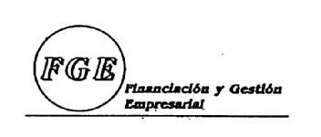 Imagen de FGE FINANCIACION Y GESTION EMPRESARIAL