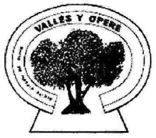 Imagen de VALLES Y OPERE ACEITE VIRGEN DE OLIVA