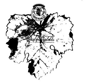 Imagen de CASTRO VALDES