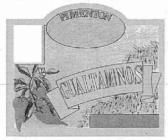 Imagen de PIMENTON GUALTAMINOS