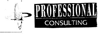 Imagen de PROFESSIONAL CONSULTING