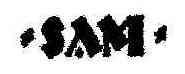 Imagen de SAM