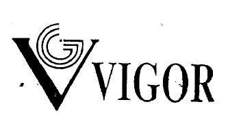 Imagen de VG VIGOR