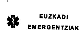 Imagen de EUZKADI EMERGENTZIAK