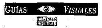 Imagen de GUIAS VISUALES EL PAIS AGUILAR