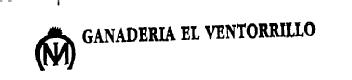 Imagen de GANADERIA EL VENTORRILLO
