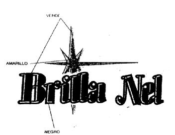 Imagen de BRILLA NEL