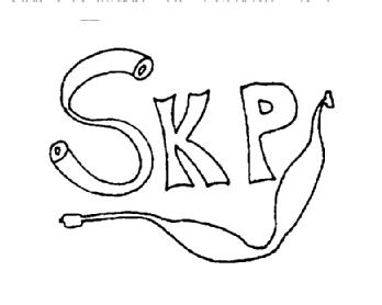 Imagen de SKP