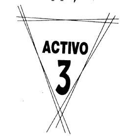 Imagen de ACTIVO 3