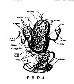 Imagen de TERA