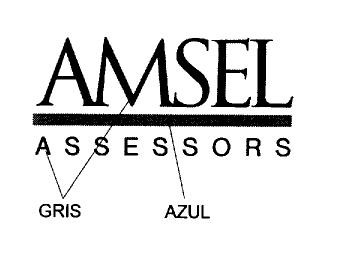Imagen de AMSEL ASSESSORS