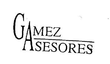 Imagen de GAMEZ ASESORES