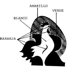 Imagen de R
