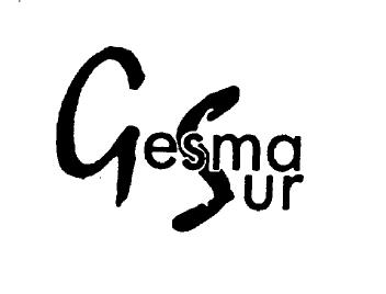 Imagen de GESMASUR