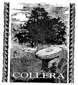 Imagen de QUESERIA COLLERA