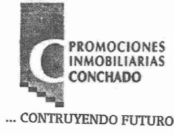 Imagen de PROMOCIONES INMOBILIARIAS CONCHADO. CONSTRUYENDO FUTURO