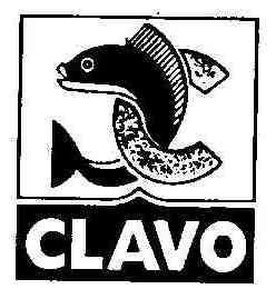 Imagen de CLAVO