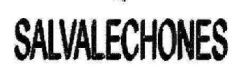 Imagen de SALVALECHONES