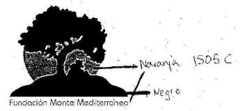 Imagen de FUNDACION MONTE MEDITERRANEO