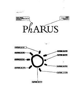 Imagen de PHARUS